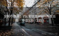 全网吵翻天：YSL蜜桃色WWW再度出圈 · 争议525（189 ）