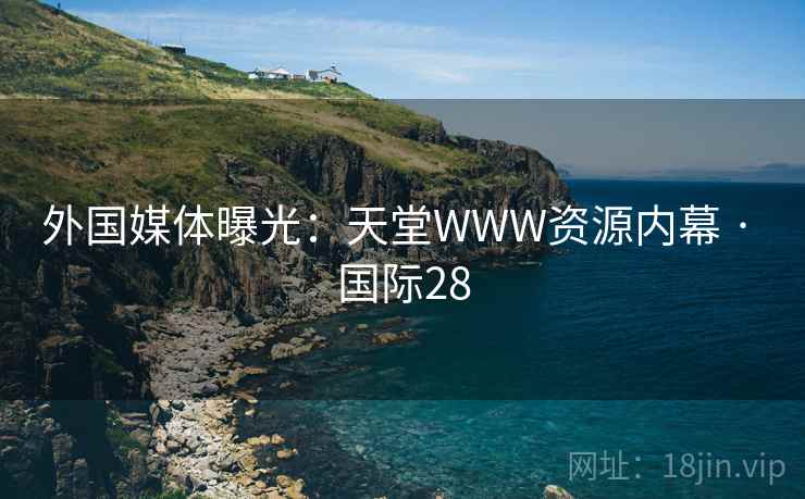 外国媒体曝光：天堂WWW资源内幕 · 国际28