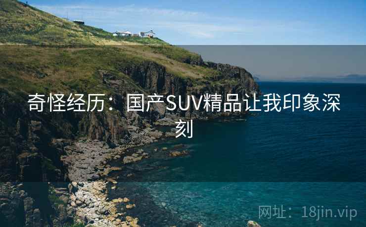 奇怪经历:国产SUV精品让我印象深刻 奇怪经历:国产SUV精品让我印象深刻